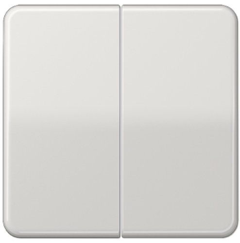 Лицевая панель Jung CD500 для 2-кл. выключателя светло-серый фото Лицевая панель Jung CD500 для 2-кл. выключателя светло-серый картинка